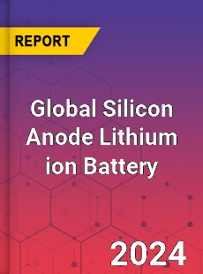 Global Silicon Anode Lithium ion Battery Industry