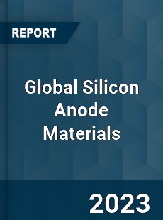 Global Silicon Anode Materials Industry