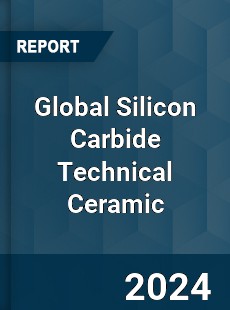 Global Silicon Carbide Technical Ceramic Industry