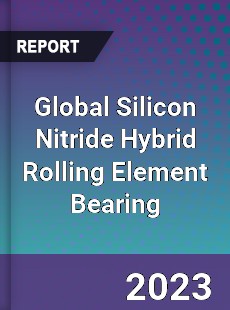 Global Silicon Nitride Hybrid Rolling Element Bearing Industry