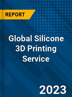 Global Silicone 3D Printing Service Industry