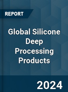 Global Silicone Deep Processing Products Industry