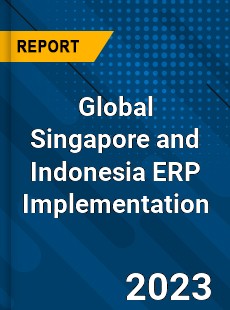 Global Singapore and Indonesia ERP Implementation Industry