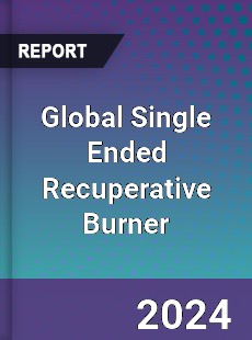 Global Single Ended Recuperative Burner Industry