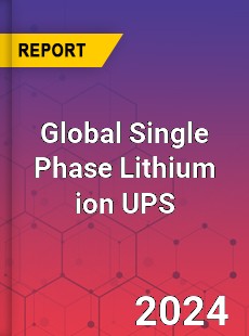 Global Single Phase Lithium ion UPS Industry