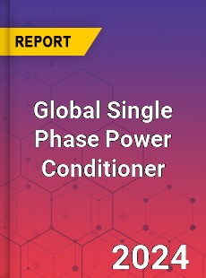 Global Single Phase Power Conditioner Industry