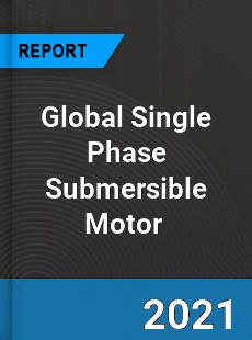 Global Single Phase Submersible Motor Market