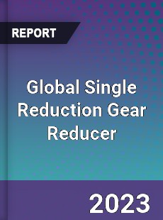 Global Single Reduction Gear Reducer Industry