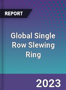 Global Single Row Slewing Ring Industry