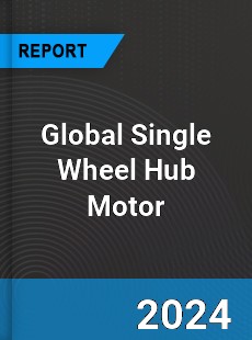 Global Single Wheel Hub Motor Industry