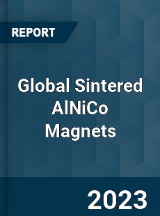 Global Sintered AlNiCo Magnets Industry