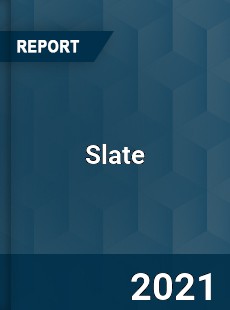 Global Slate Professional Survey Report