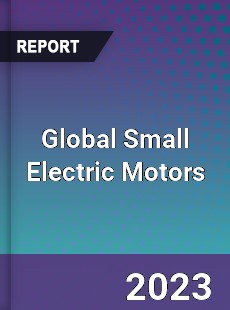 Global Small Electric Motors Market