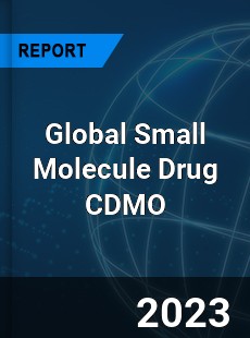 Global Small Molecule Drug CDMO Industry