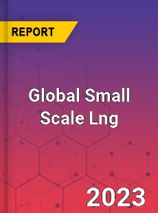 Global Small Scale Lng Market