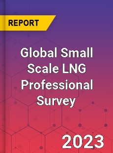 Global Small Scale LNG Professional Survey Report