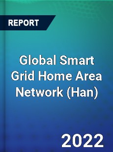 Global Smart Grid Home Area Network Market