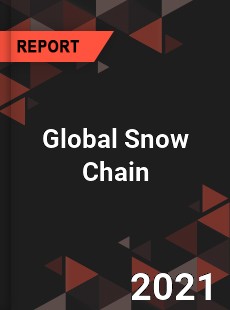 Global Snow Chain Market