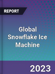 Global Snowflake Ice Machine Industry