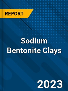 Global Sodium Bentonite Clays Market