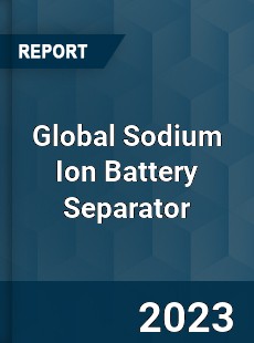 Global Sodium Ion Battery Separator Industry