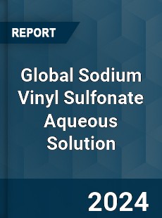 Global Sodium Vinyl Sulfonate Aqueous Solution Industry