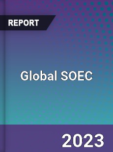 Global SOEC Industry