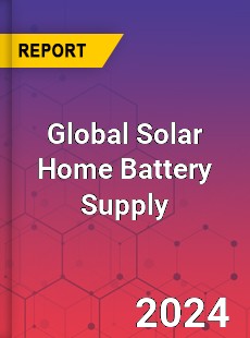 Global Solar Home Battery Supply Industry