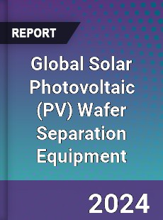 Global Solar Photovoltaic Wafer Separation Equipment Industry