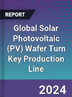 Global Solar Photovoltaic Wafer Turn Key Production Line Industry