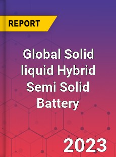 Global Solid liquid Hybrid Semi Solid Battery Industry