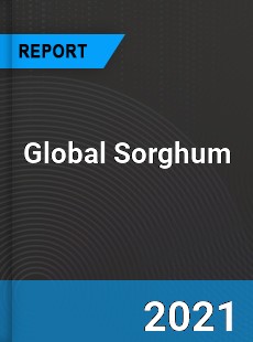 Global Sorghum Market