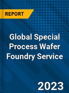 Global Special Process Wafer Foundry Service Industry