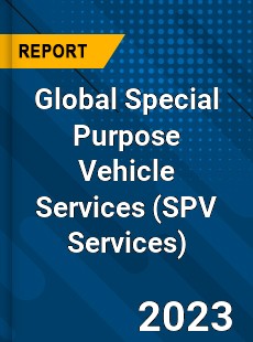 Global Special Purpose Vehicle Services Industry