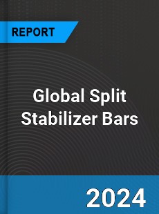 Global Split Stabilizer Bars Industry