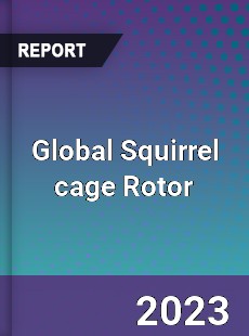 Global Squirrel cage Rotor Industry