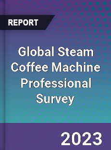 Global Steam Coffee Machine Professional Survey Report