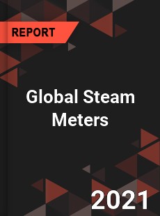 Global Steam Meters Market