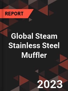 Global Steam Stainless Steel Muffler Industry