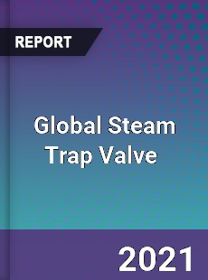 Global Steam Trap Valve Market