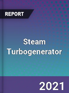 Global Steam Turbogenerator Professional Survey Report