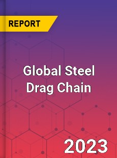 Global Steel Drag Chain Industry