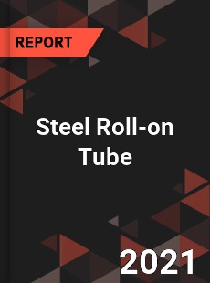 Global Steel Roll on Tube Professional Survey Report