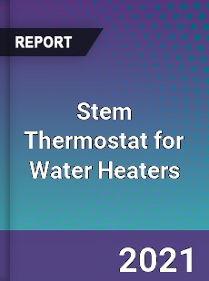 Global Stem Thermostat for Water Heaters Professional Survey Report