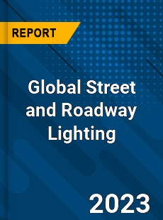 Global Street and Roadway Lighting Market