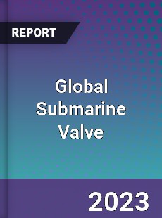 Global Submarine Valve Industry