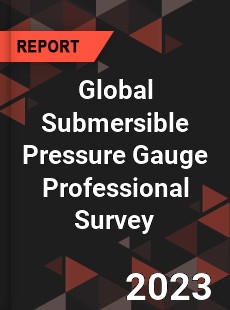 Global Submersible Pressure Gauge Professional Survey Report