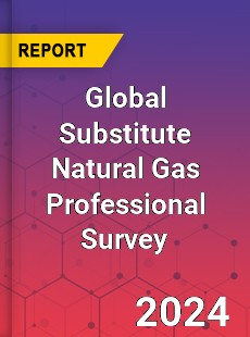 Global Substitute Natural Gas Professional Survey Report