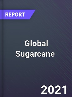 Global Sugarcane Market