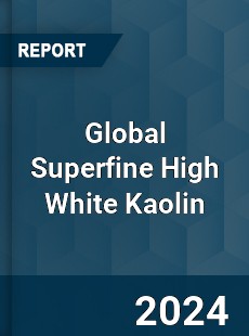 Global Superfine High White Kaolin Industry